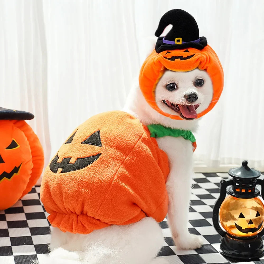 Pet Dog Clothes Halloween Pumpkin Style Funny Transformation Dress Cat Two Leg Vest Small/Medium Pet Autumn/Winter Warm Clothes