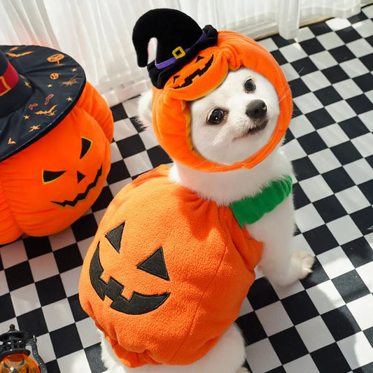 Pet Dog Clothes Halloween Pumpkin Style Funny Transformation Dress Cat Two Leg Vest Small/Medium Pet Autumn/Winter Warm Clothes