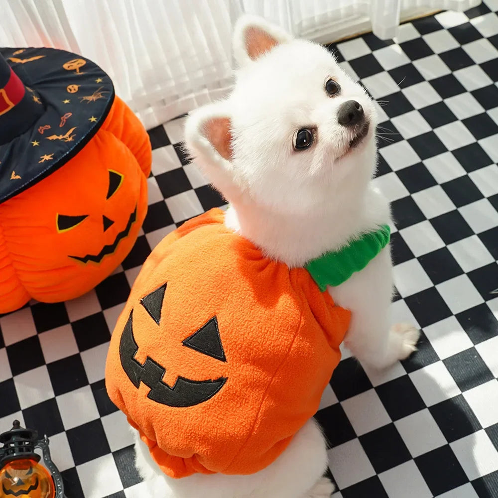 Pet Dog Clothes Halloween Pumpkin Style Funny Transformation Dress Cat Two Leg Vest Small/Medium Pet Autumn/Winter Warm Clothes